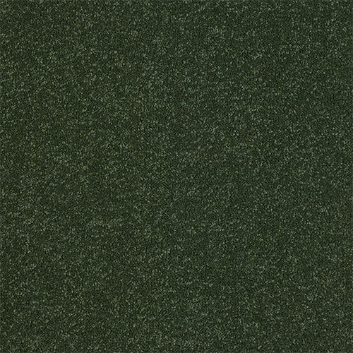 Ultra Stainfree Moss