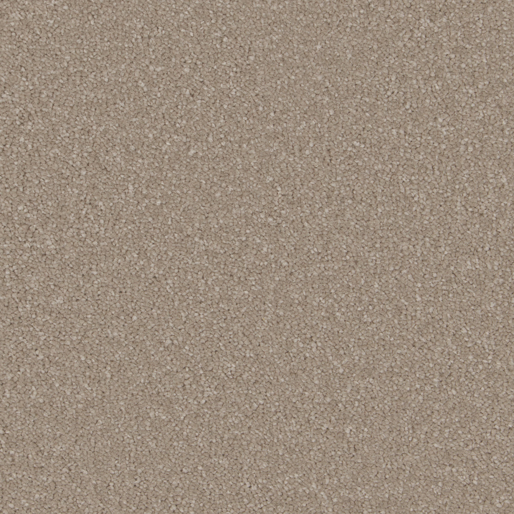 Original Sensation Deep Pile Ammonite