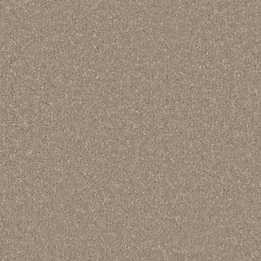 Original Sensation Deep Pile Ammonite