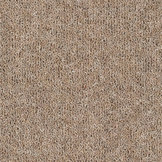 Harmony 80% Wool Twist Almond