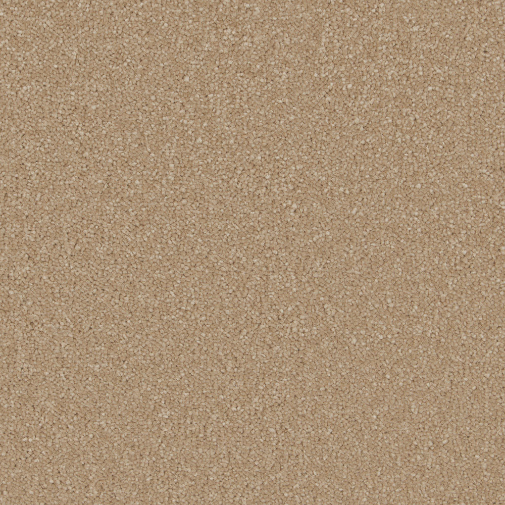 Ultimate Sensation Deep Pile Gazelle