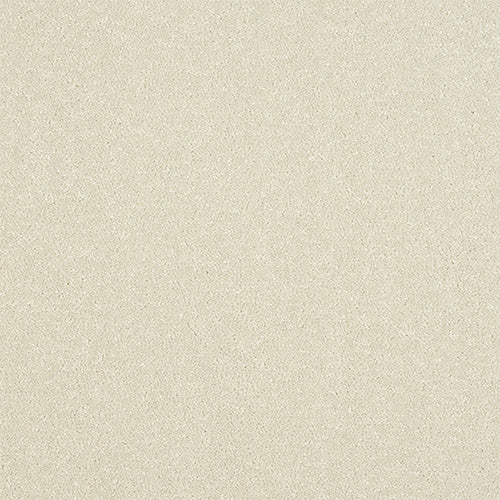 Ultra Stainfree White Whisper