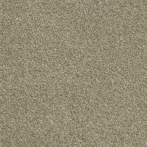 Rustique Stainfree Sedge