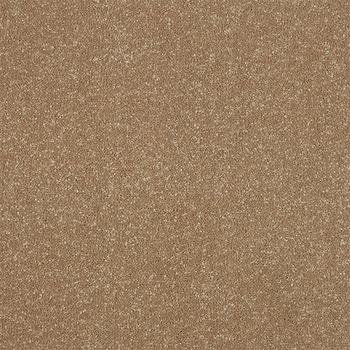Ultra Stainfree Cocoa Cream