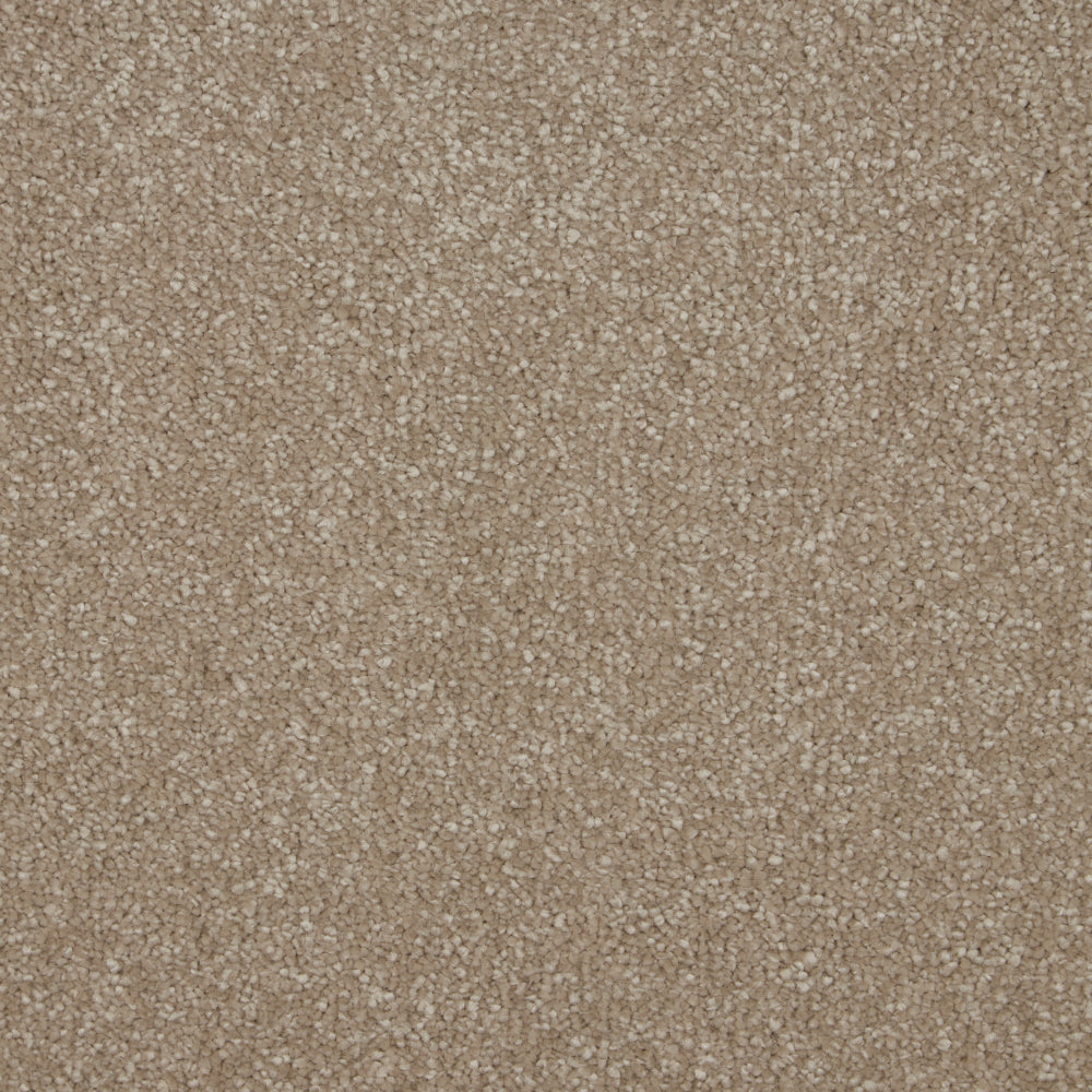 Ultimate Sensation Deep Pile Cambrian Stone