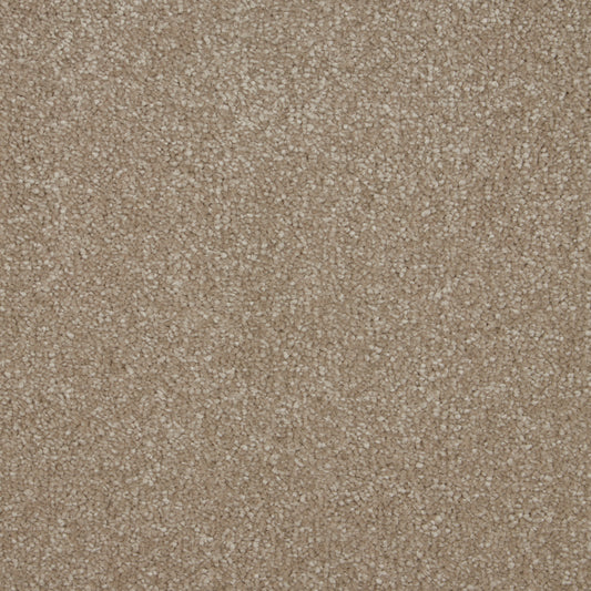 Ultimate Sensation Deep Pile Cambrian Stone