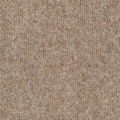 Harmony 80% Wool Twist Almond