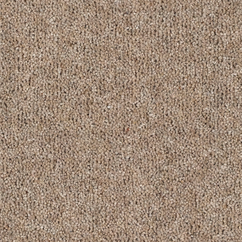 Harmony 80% Wool Twist Almond