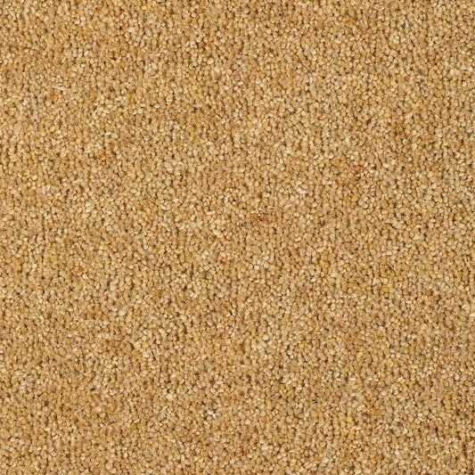 Harmony 80% Wool Twist Gold