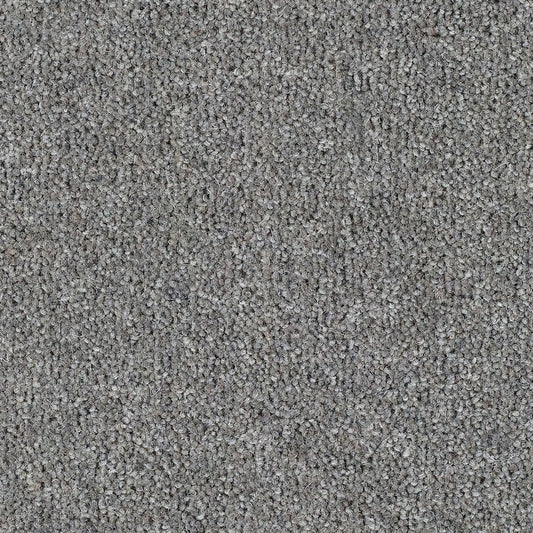 Harmony 80% Wool Silver