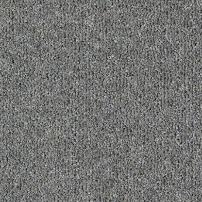Harmony 80% Wool Twist Steel