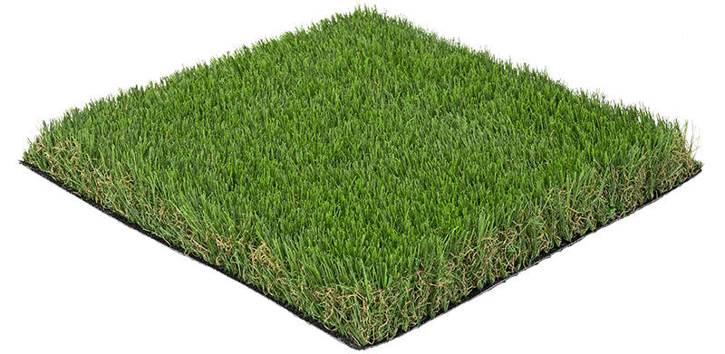 Essential Lawn Ireland 30mm
