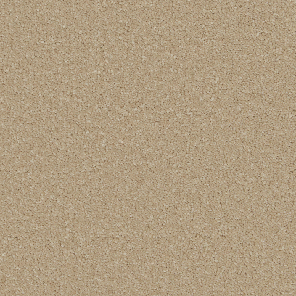 Sample