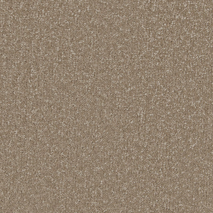 Sample