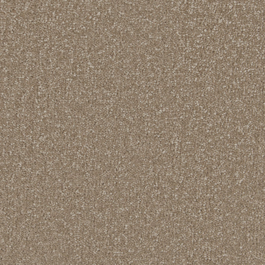 Ultimate Sensation Deep Pile Light Taupe