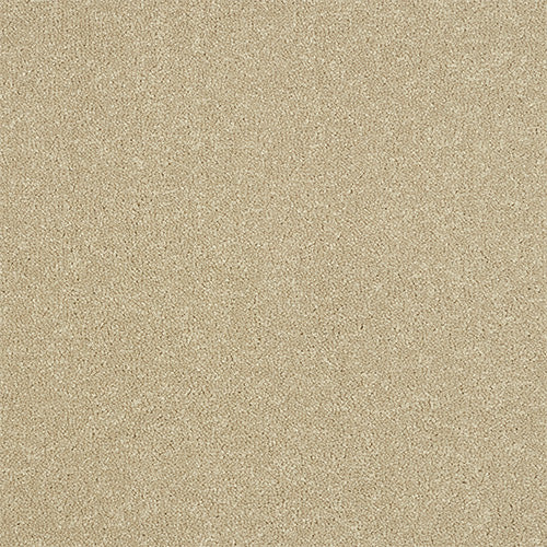 Ultra Stainfree Antique Cream