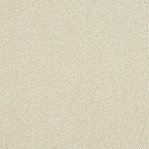 Ultra Stainfree Powder